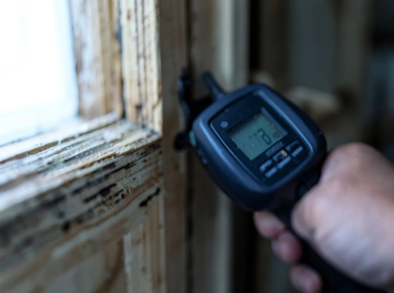 Moisture Inspection And Documentation in Stella, MO